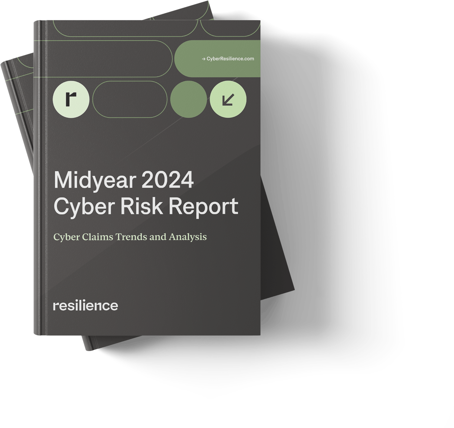 2024 Mid-Year Cyber Risk Report