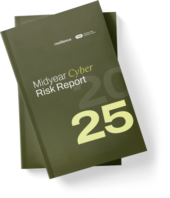 LP_2025MidYEarRiskReport_Cover